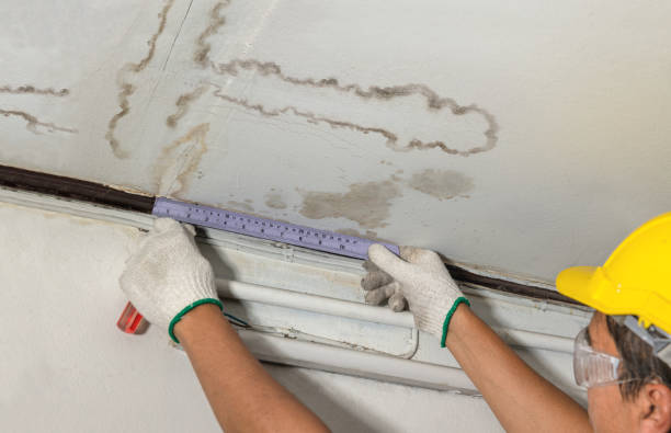 Reliable Flood Cleanup contractor in Conover, OH by Water Damage Irwin